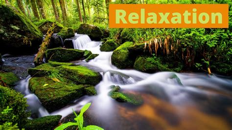 musique de relaxation youtube|musique douce relaxante pour dormir.